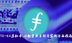 TS-EX虚拟币：从投资新手到专家的全面指南