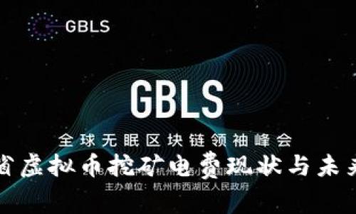 浙江省虚拟币挖矿电费现状与未来发展