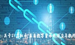 : 关于SY虚拟币：未来数字货币的潜力与挑战