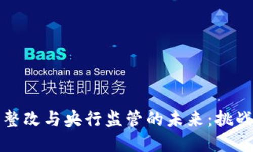 虚拟币整改与央行监管的未来：挑战与机遇