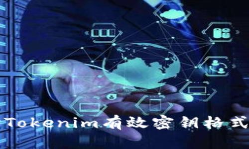 深入探讨Tokenim有效密钥格式及其应用