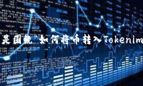 注意：由于Tokenim 是一个假设的平台，它不一定在现实中存在。以下是围绕“如何将币转入Tokenim”的内容。如果Tokenim确实存在，使用前请查阅相关文档和安全指引。

如何将币转入Tokenim：一步一步的指南