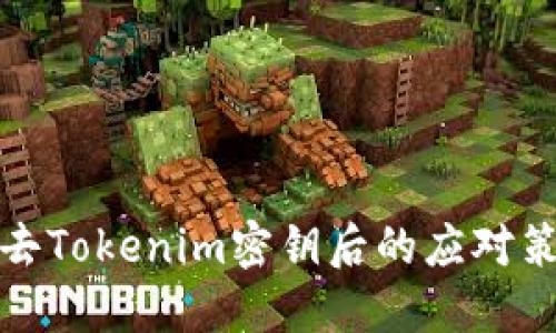 失去Tokenim密钥后的应对策略
