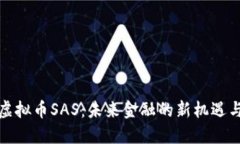 探索虚拟币SAS：未来金融的新机遇与挑战