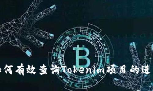 如何有效查询Tokenim项目的进度