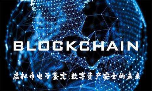 虚拟币电子鉴定：数字资产安全的未来