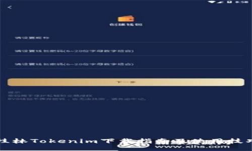 桂林Tokenim下载指南及使用技巧