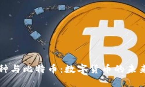 虚拟币种与比特币：数字货币的未来与挑战