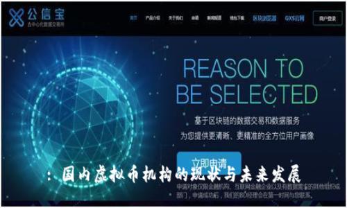 : 国内虚拟币机构的现状与未来发展