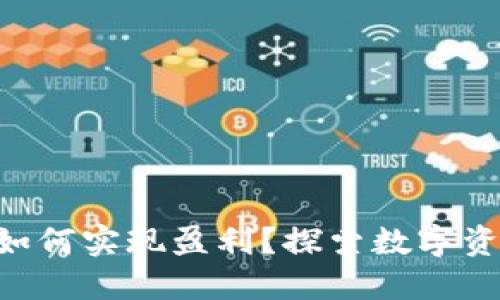 Tokenim钱包如何实现盈利？探索数字资产的投资机会