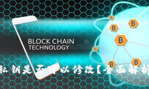 Tokenim钱包私钥是否可以修改？全面解析与安全性考量