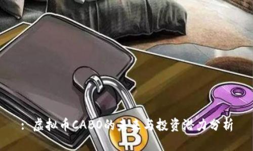 : 虚拟币CABO的未来与投资潜力分析