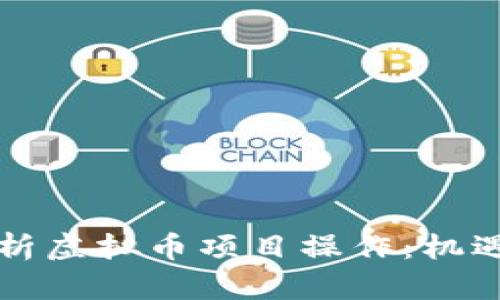 深入解析虚拟币项目操作：机遇与挑战