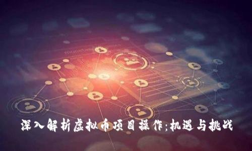 深入解析虚拟币项目操作：机遇与挑战