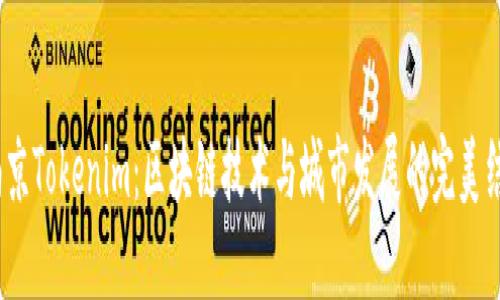  南京Tokenim：区块链技术与城市发展的完美结合