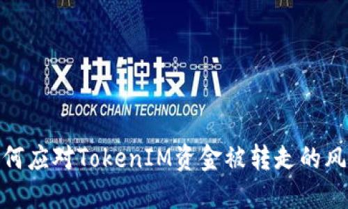 如何应对TokenIM资金被转走的风险