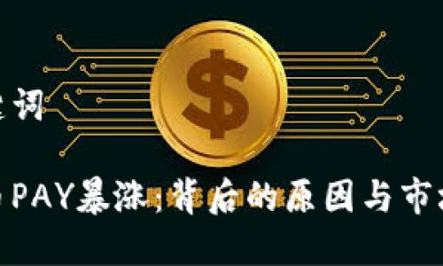 和关键词

虚拟币PAY暴涨：背后的原因与市场影响