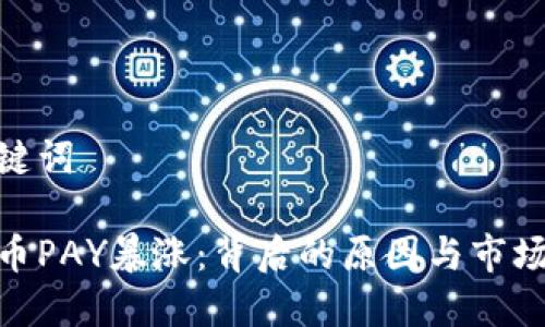 和关键词

虚拟币PAY暴涨：背后的原因与市场影响