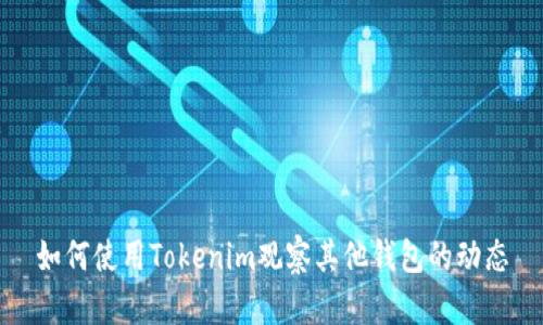 如何使用Tokenim观察其他钱包的动态
