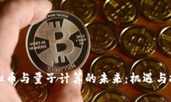 虚拟币与量子计算的未来：机遇与挑战