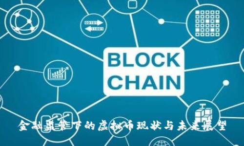 金融监管下的虚拟币现状与未来展望