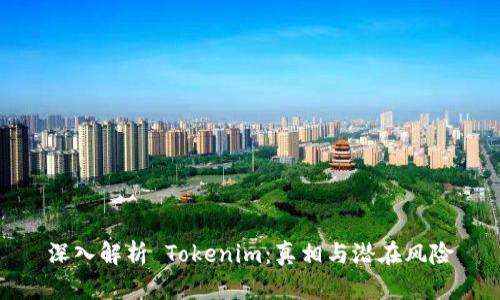 深入解析 Tokenim：真相与潜在风险