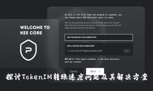 探讨TokenIM转账速度问题及其解决方案