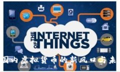 :DD币：国内虚拟货币的新风口与未来发展