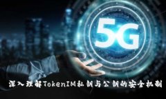  深入理解TokenIM私钥与公钥的安全机制
