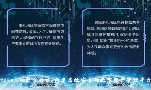 tokenim软件开发：构建高效安全的数字资产管理平台