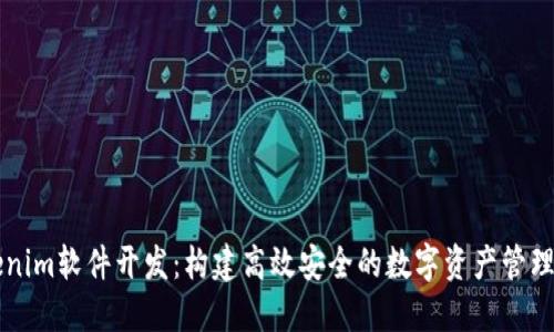tokenim软件开发：构建高效安全的数字资产管理平台