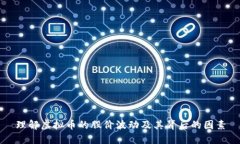 理解虚拟币的股价波动及其背后的因素