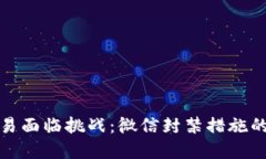 虚拟币交易面临挑战：微信封禁措施的深远影响