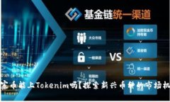山寨币能上Tokenim吗？探索新兴币种的市场机会