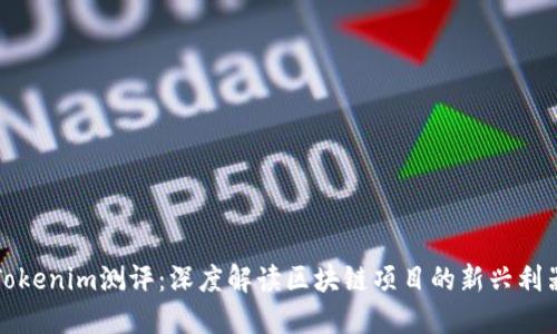 Tokenim测评：深度解读区块链项目的新兴利器