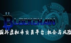 探索国外虚拟币交易平台：机会与风险并存