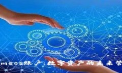 Tokenimeos账户：数字资产的未来管理平台