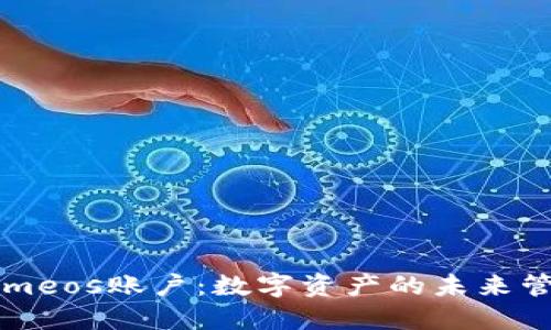 Tokenimeos账户：数字资产的未来管理平台