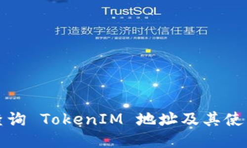 如何查询 TokenIM 地址及其使用指南