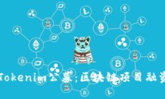 深入探讨Tokenim公募：区块链项目融资的新模式