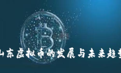 山东虚拟币的发展与未来趋势