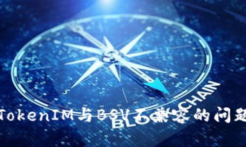 深入探讨TokenIM与BSV不兼容的问题及其影响