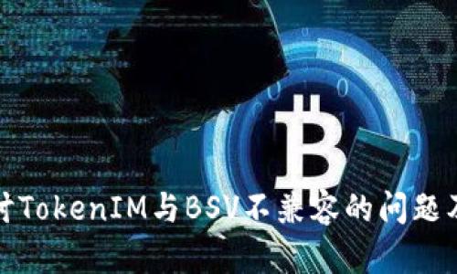 深入探讨TokenIM与BSV不兼容的问题及其影响