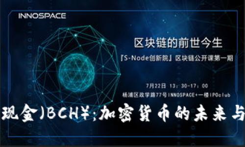 比特现金（BCH）：加密货币的未来与挑战