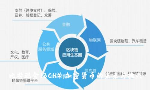 比特现金（BCH）：加密货币的未来与挑战