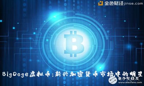 BigDoge虚拟币：新兴加密货币市场中的明星