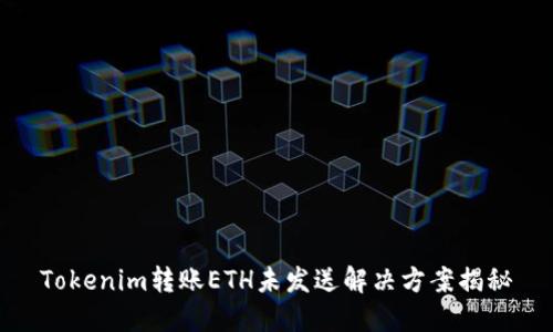 Tokenim转账ETH未发送解决方案揭秘