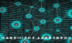 全面解析SBC虚拟币：未来趋势与投资潜力
