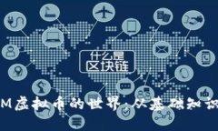深入了解SRM虚拟币的世界：从基础知识到投资机