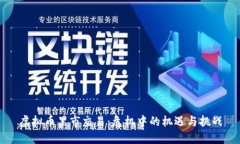 虚拟币黑市交易：危机中的机遇与挑战